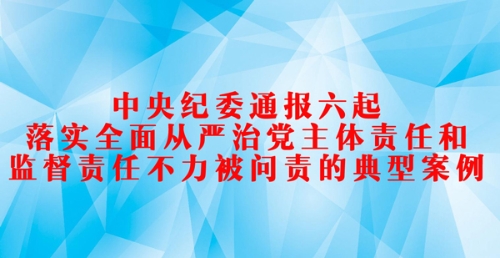 中央纪委通报六起落实全面从严治党主体责任和监督责任不力被问责的典型案例