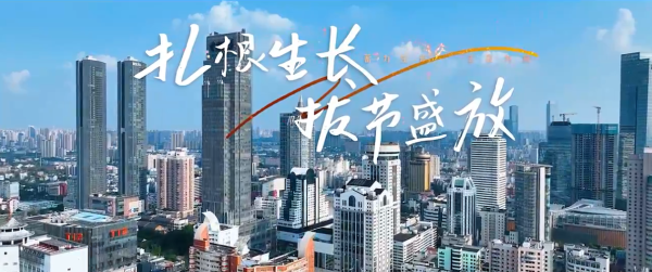 扎根生长 拔节盛放